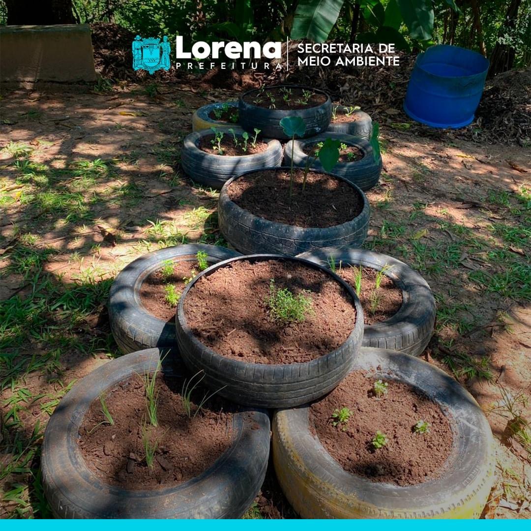Em Lorena, hortas sustentáveis estão sendo preparadas no Parque Taboão