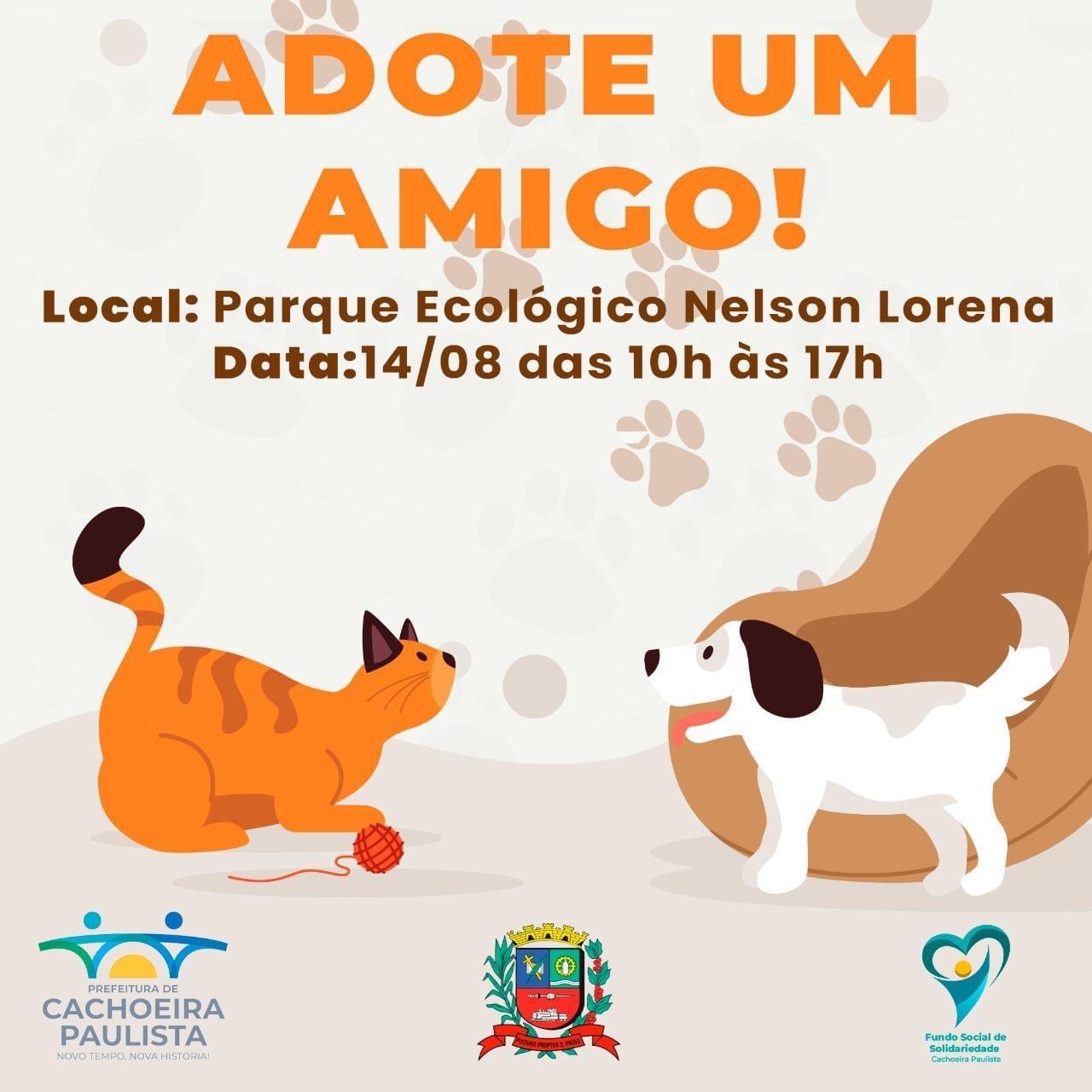 Feira de adoção de cães e gatos em Cachoeira Paulista
