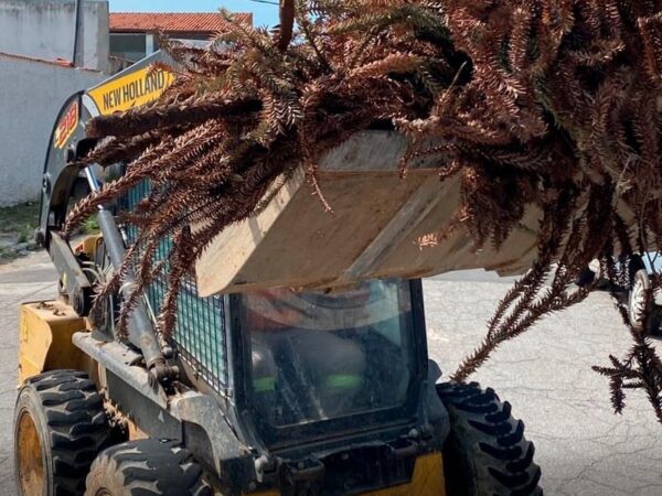 Bairros de Lorena recebem diversos serviços na última semana