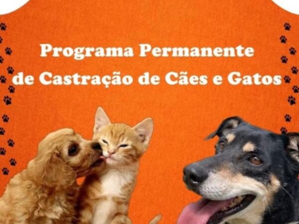 Cruzeiro anuncia inscrição para castração gratuita de cães e gatos