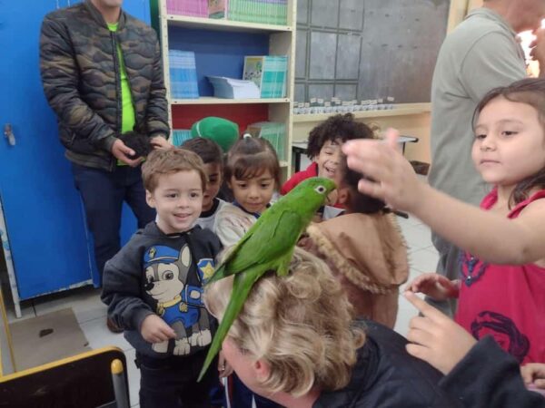 Na semana do Meio Ambiente, escola de Guará arrecada alimentos para animais