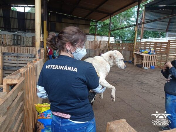 Prefeito firma parceria com ONG para o resgate de animais de rua