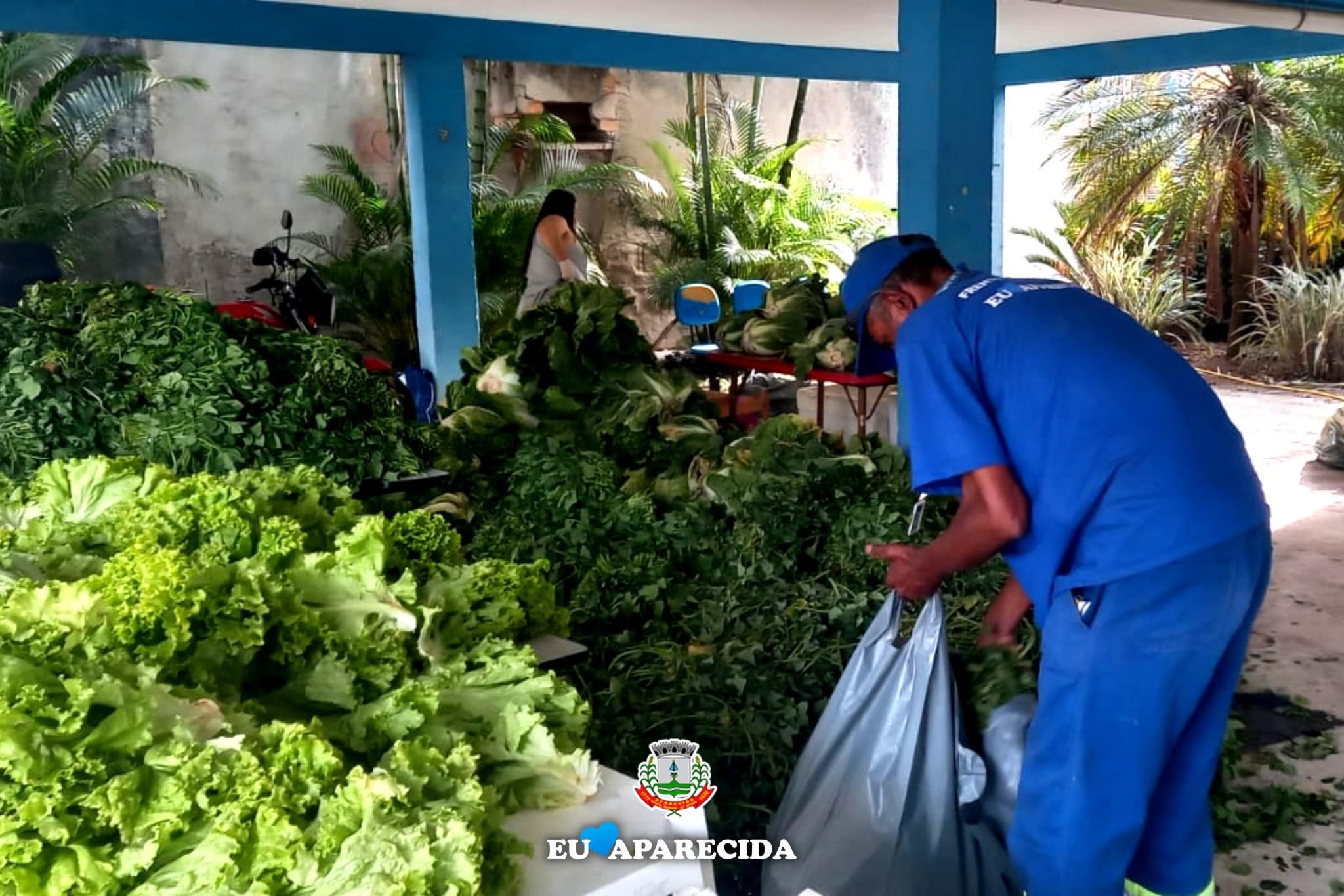 Aparecida recebe mais alimentos para a distribuição das Cestas Verdes