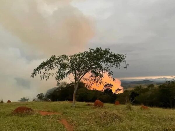 Em Taubaté, Defesa Civil registra aumento de 24% em queimadas até agosto