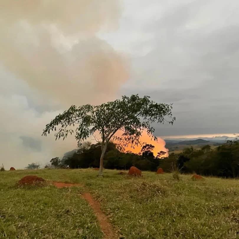 Em Taubaté, Defesa Civil registra aumento de 24% em queimadas até agosto