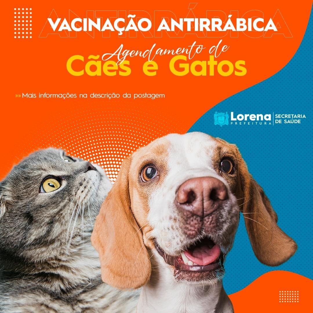 Lorena está com agendamento da Vacinação Antirrábica para cães e gatos
