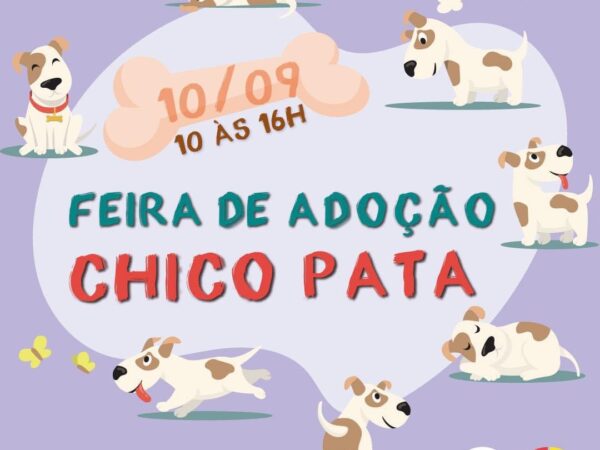 Em Taubaté, ONG realiza feira de adoção de cães e gatos