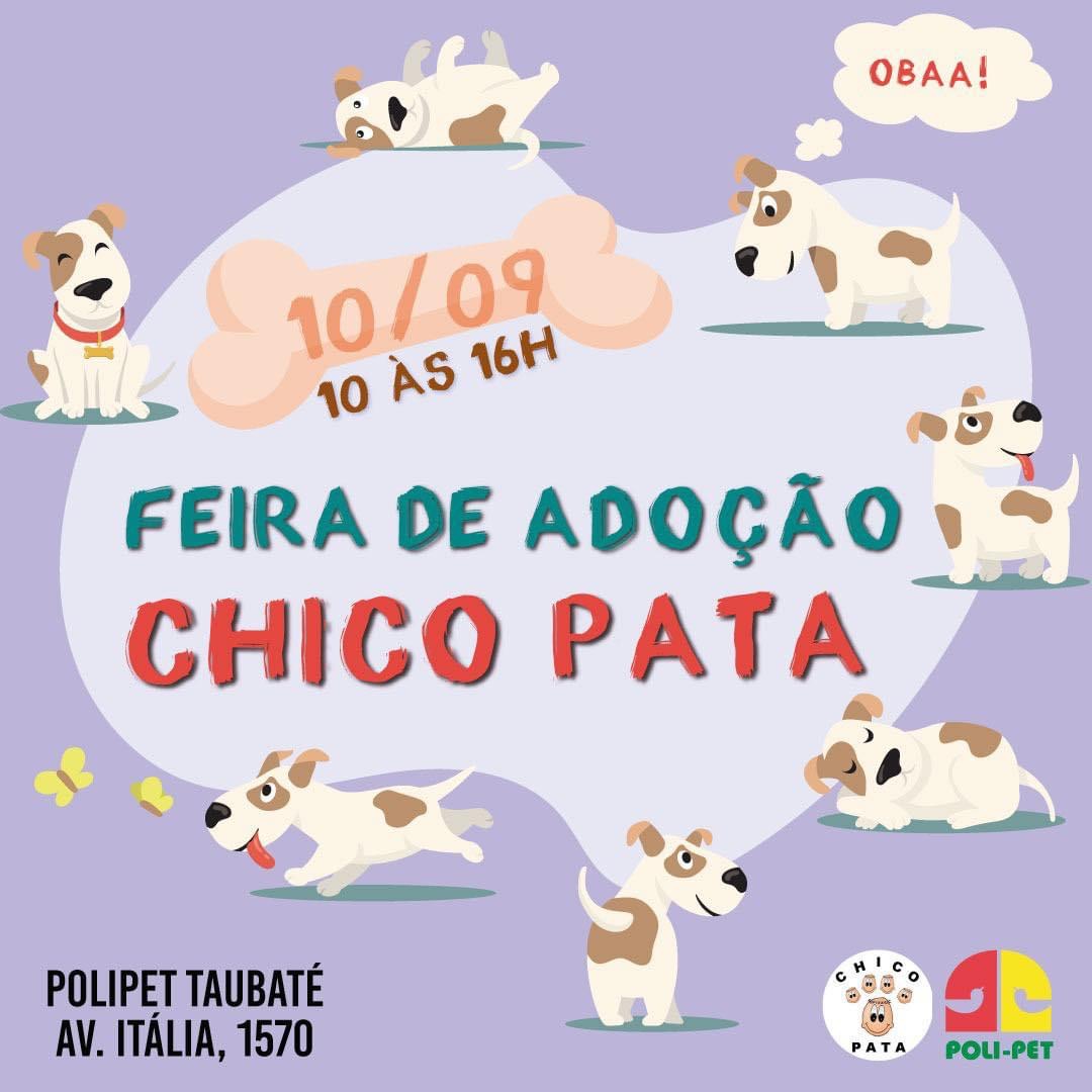 Em Taubaté, ONG realiza feira de adoção de cães e gatos