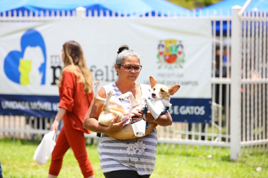 São José abre 1.000 vagas para castração de cães e gatos