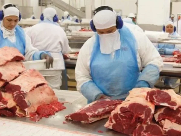 Brasil suspende exportação de carne para China após caso de “vaca louca” no Pará