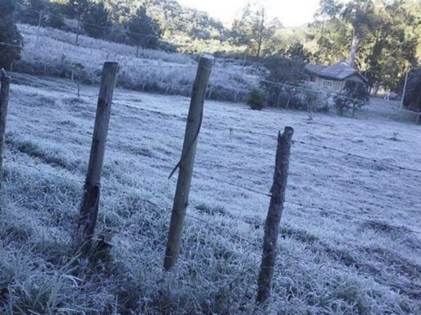 INMET emite alerta para geada em cidades do Vale do Paraíba