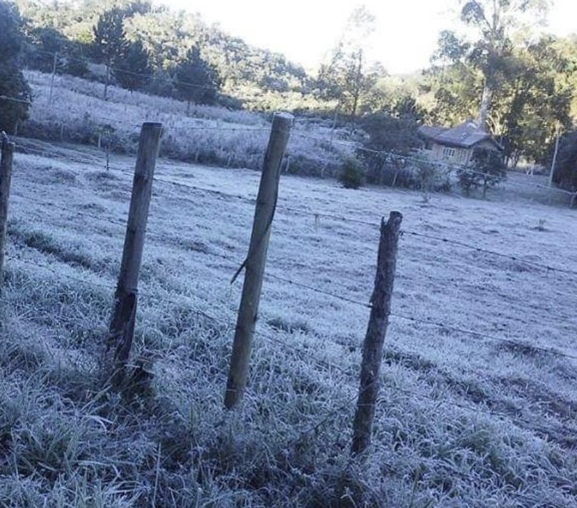 INMET emite alerta para geada em cidades do Vale do Paraíba