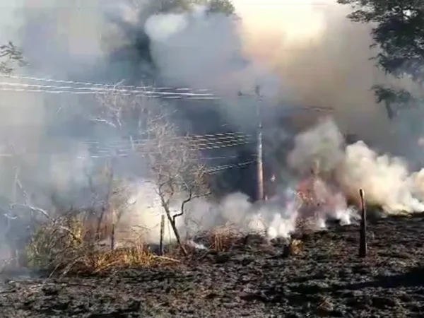 Fogo atinge 20 mil m² de área de mata em São José
