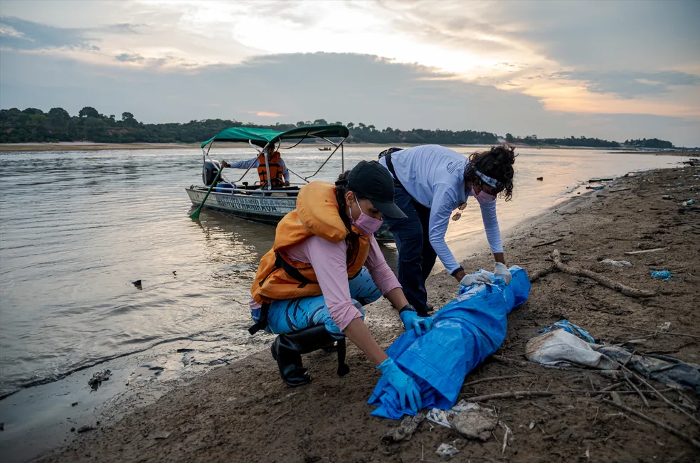 Mais de 100 botos são encontrados mortos no Amazonas