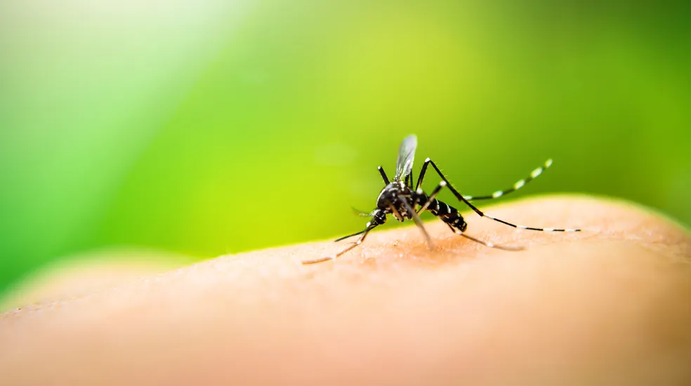 Vale do Paraíba não é atendido na fase inicial de imunização contra a Dengue