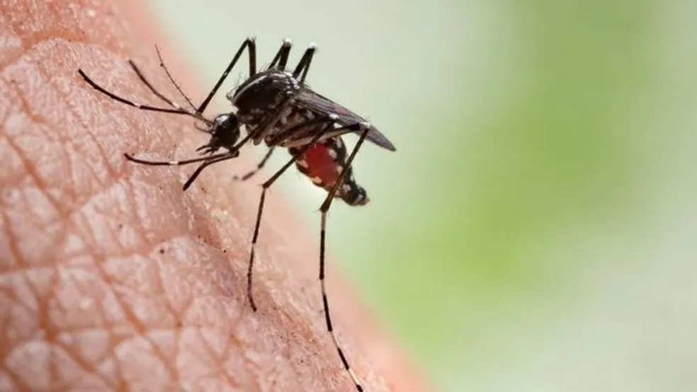 Cidades do Vale  fazem ‘Dia D’ de combate à dengue