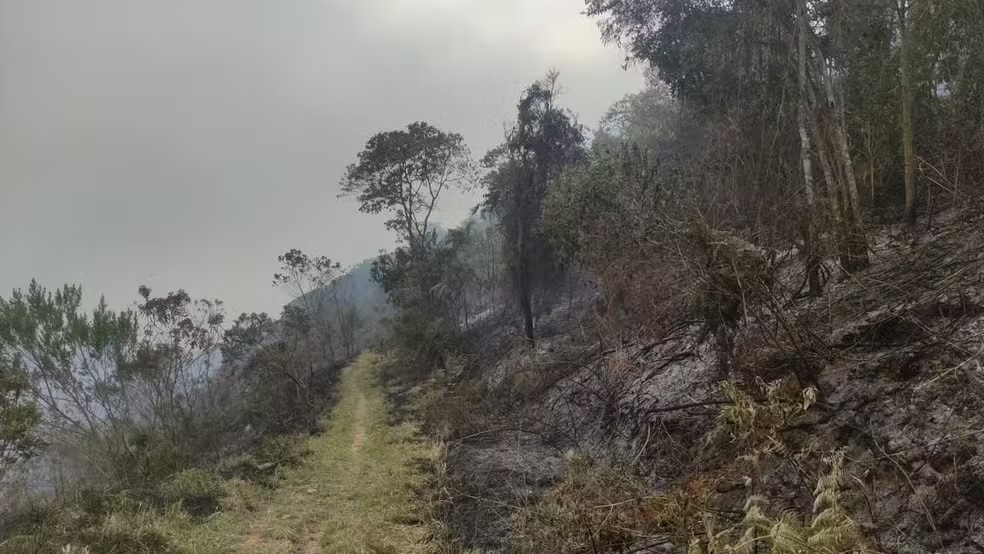 Fogo na Serra da Bocaina é extinto