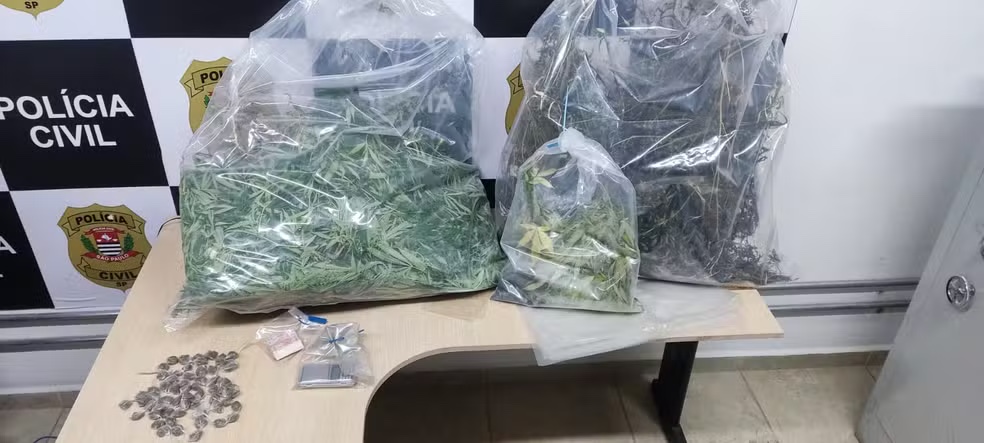 10 pessoas são presas em operação contra o tráfico de drogas em Taubaté