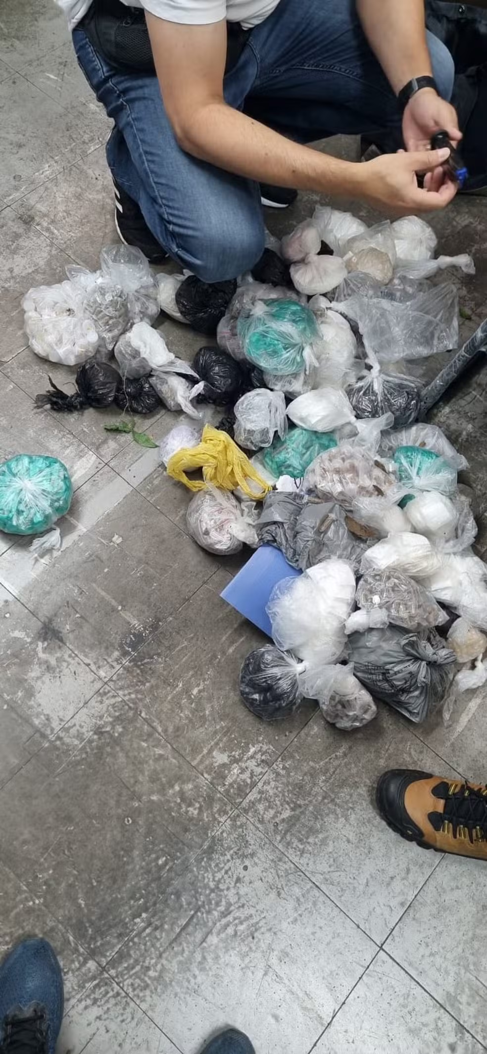 Polícia Civil apreende mais de 7 kg de drogas em Pinda