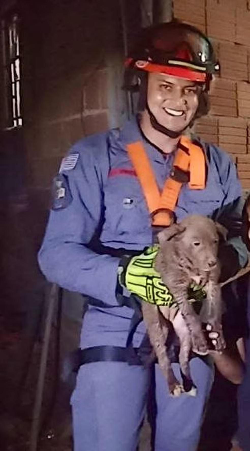 Cachorro é resgatado após cair em poço com 15 metros de profundidade em Lorena