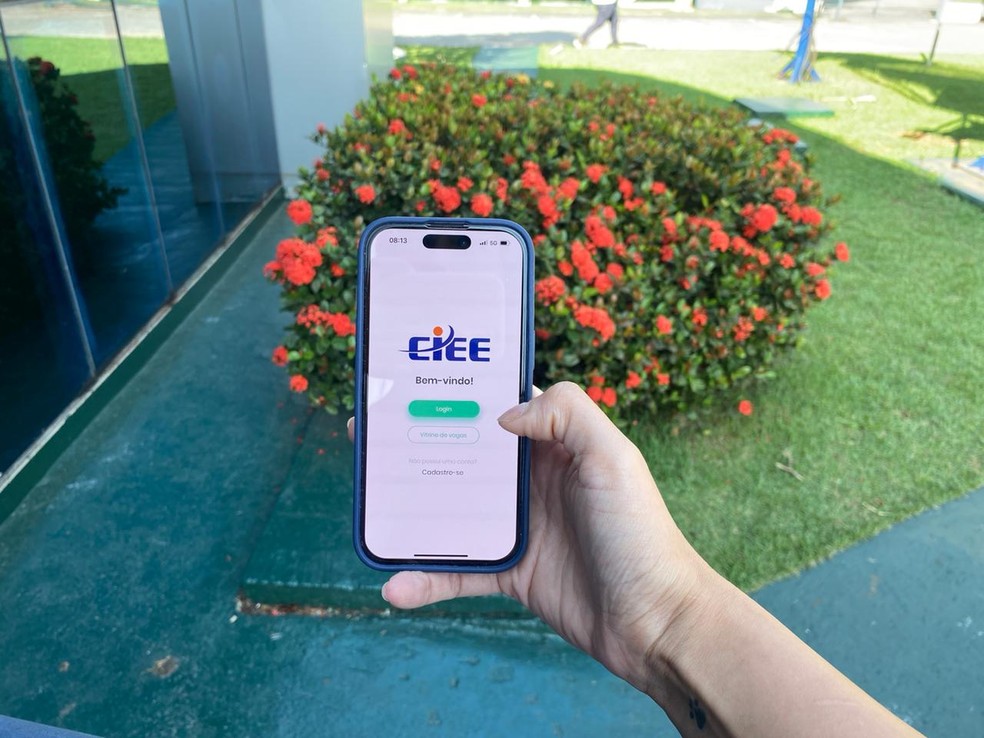 Ciee começa a semana com 385 vagas de estágio e aprendizagem na região