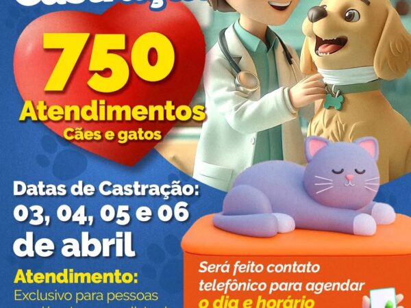 Guará realiza Mutirão de castração para animais da lista de espera