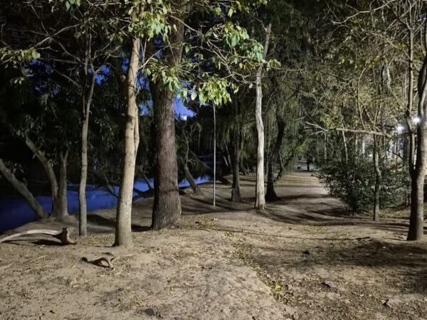 Guaratinguetá moderniza iluminação do Bosque da Amizade