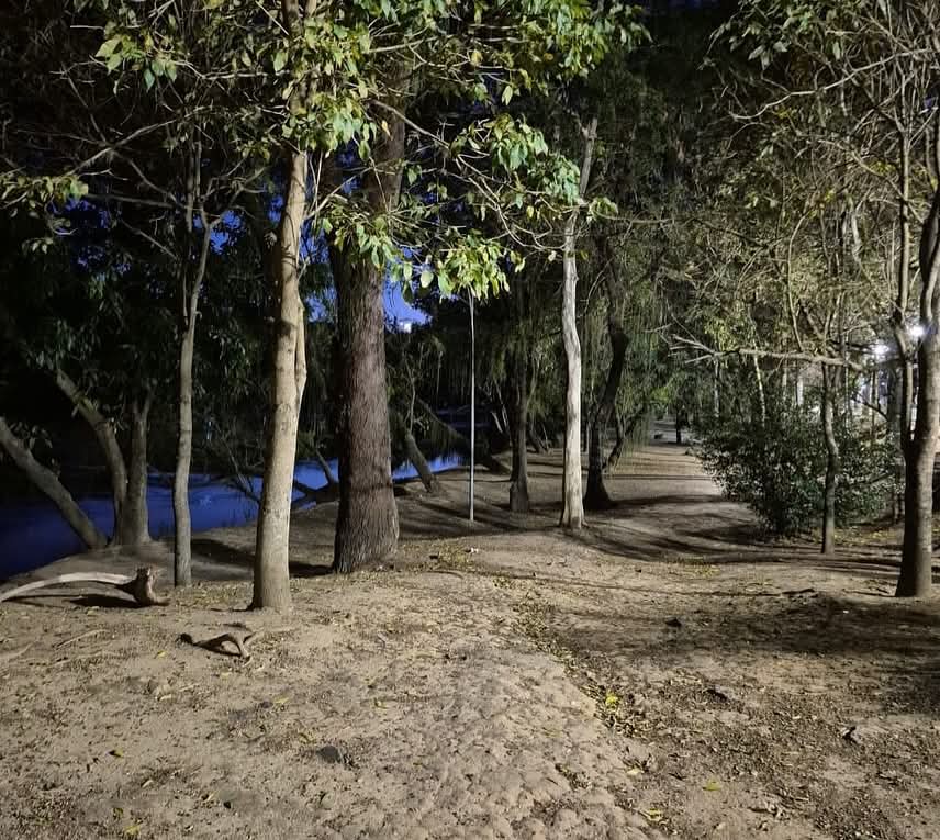 Guaratinguetá moderniza iluminação do Bosque da Amizade
