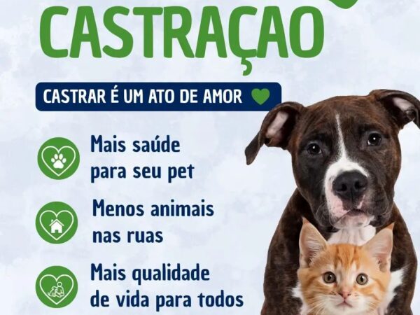 Mutirão de Castração de cães e gatos, em Guaratinguetá