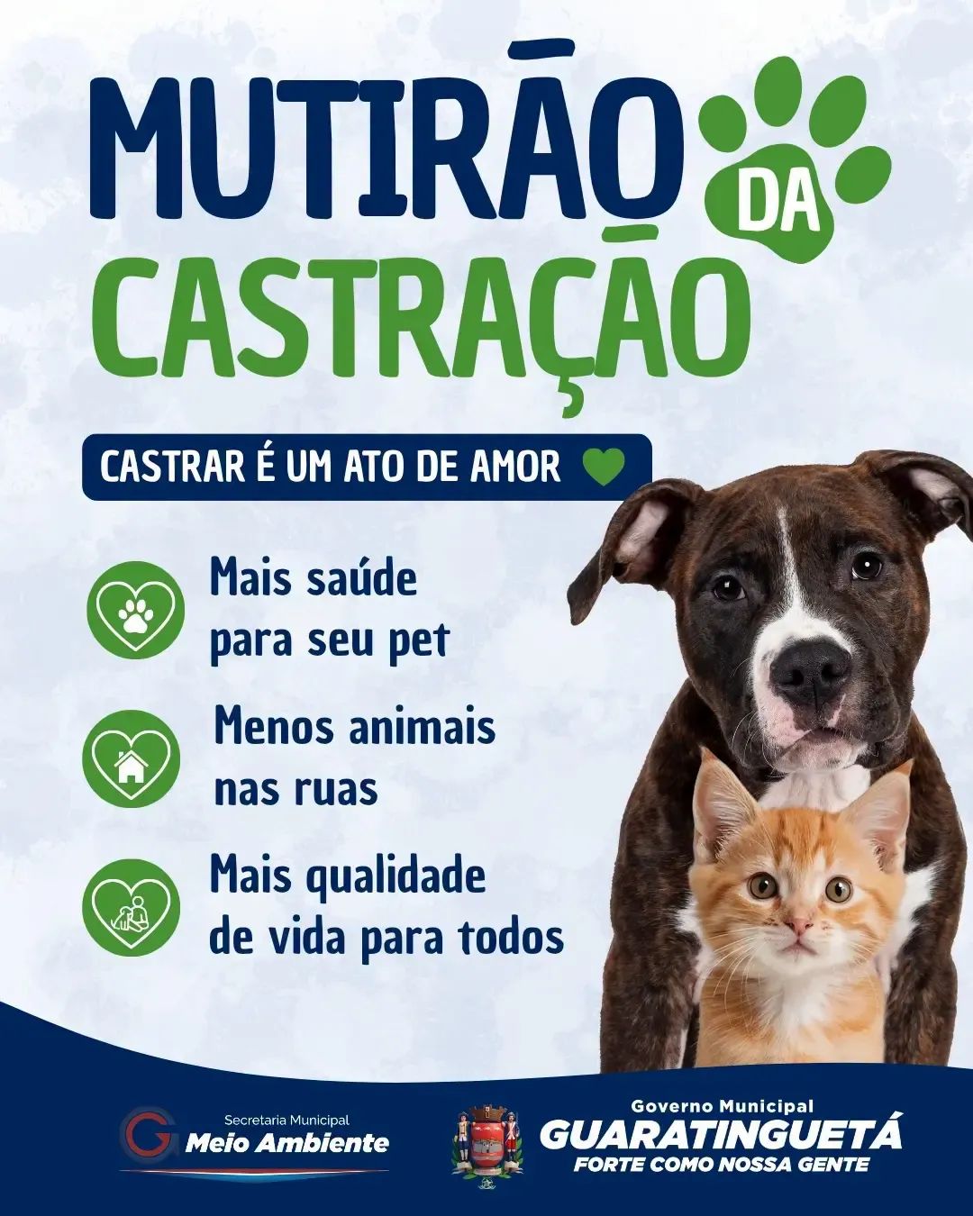 Mutirão de Castração de cães e gatos, em Guaratinguetá