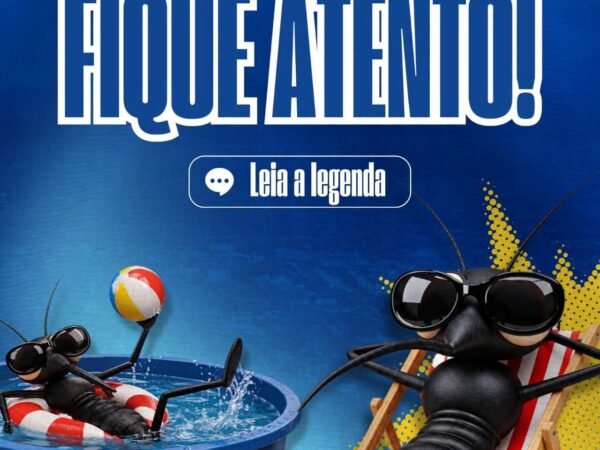 Cruzeiro alerta população para o aumento do mosquito Aedes aegypti